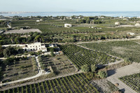 farm pic 08