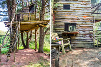 Treehousefull