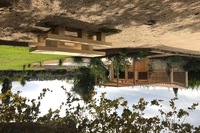 IMG_9025