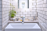 Bathroom_Detail