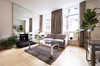 Deluxe LR Fireplace