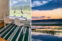 Deck Marsh