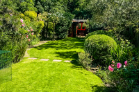 vertical BackGardenRoses vertical BackGardenRoses