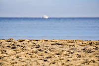 House by the sea [2015] 3