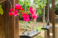 garden 2
