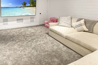 Basement TV room Basement TV room