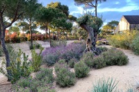 Nature   Sublime Comporta Nature   Sublime Comporta