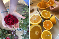 cieleto still lives cieleto still lives