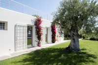 The Noto Residence