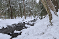 berkshires snow