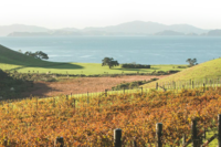 footer banner