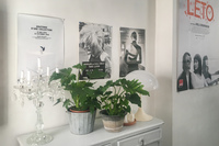 IMG_3048 copy v1 IMG_3048 copy v1