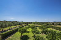 The Rotes Des Cavallers Residence 
