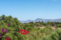 The Carrerassa den Marti Llubiner Residence