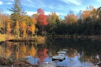 quarry autumn