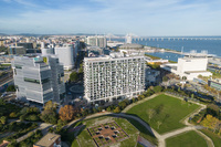 DJI_0210