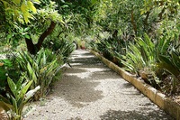 The Laurel Canarias Residence