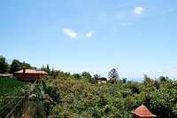 The Laurel Canarias Residence