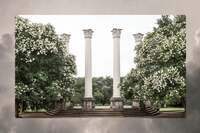 george st view pillars