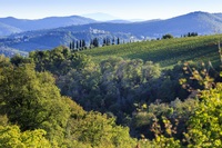 The Colto Dei Pallanti Residence
