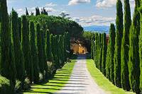 entry to estate