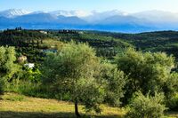 The Villa Asteriskos residence 