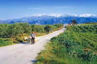 The Villa Vereniki Residence