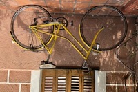IMG_4219 IMG_4219