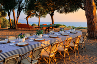 Villa Talamone 85