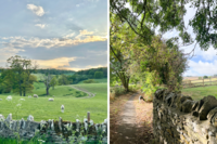 11 shipton local area