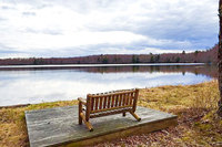 The Clearwater Cabin Residence