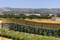20 Garden corrected