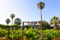 22b Locanda 2 22b Locanda 2