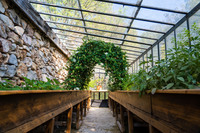 Serre_DSC05698