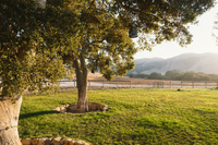 The Jalama Residence