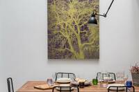 The Holland Park Mews Residence