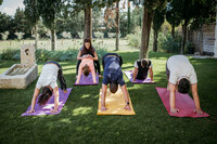 yoga 13 yoga 13