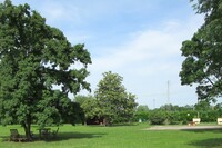 The Mulberry Residence