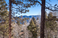 | Royal Retreat by Boutiq Luxury Vacation Rentals | Angel Fire, New Mexico