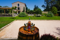 The Marseillais Residence