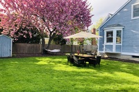 Backard with Cherry Blossom Tree (2)