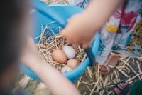 Eggs Large Eggs Large