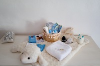 Baby Kit1 Large Baby Kit1 Large