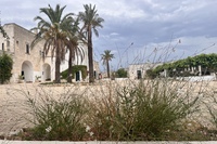 image00002
