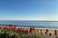 IMG_2409 IMG_2409