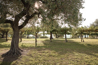 ESTERNO 13_14012025