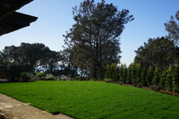 DSC04111