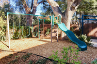 CanonDrive Playground