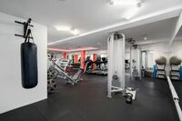 gym 4 hq