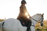 horse